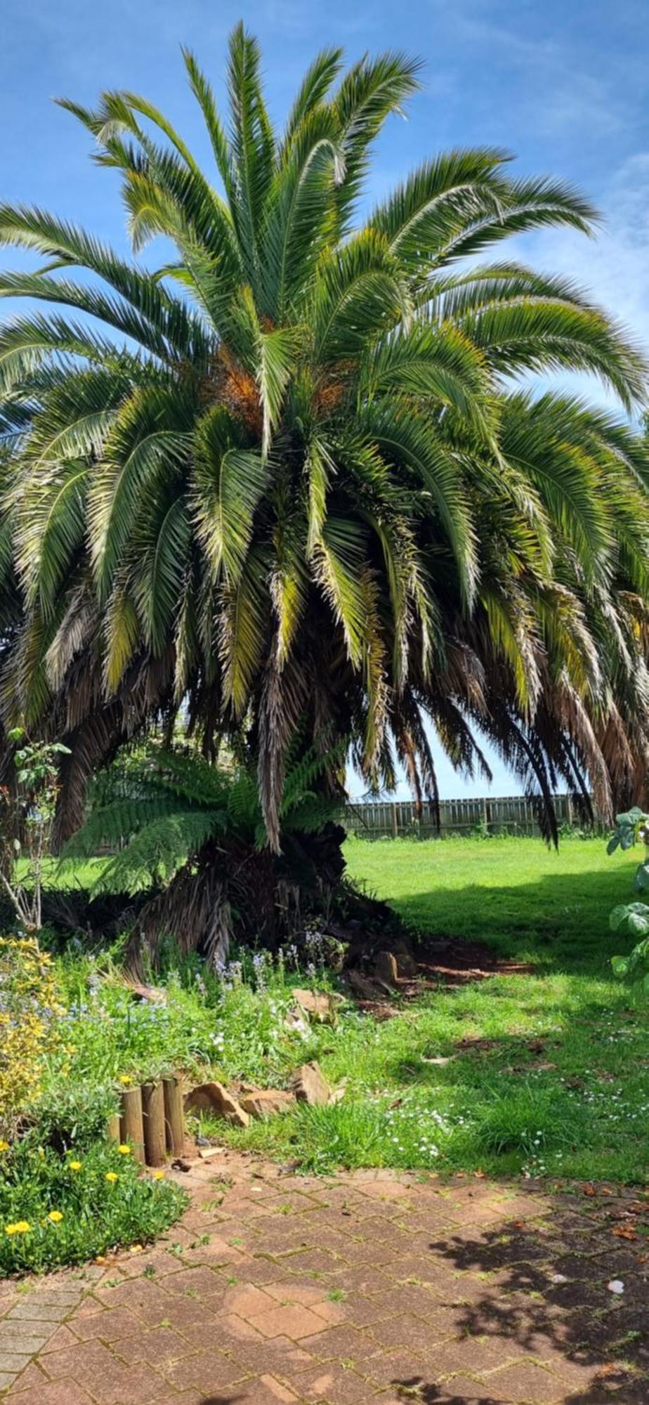 סקוטסדייל Belle Cottage מראה חיצוני תמונה