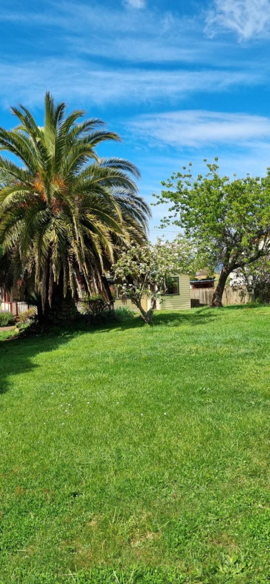סקוטסדייל Belle Cottage מראה חיצוני תמונה