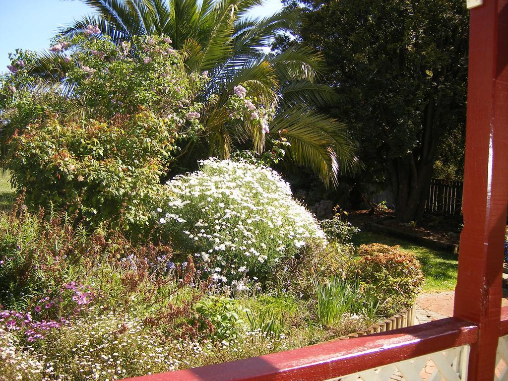 סקוטסדייל Belle Cottage מראה חיצוני תמונה
